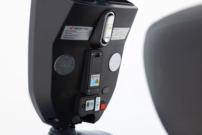 Dual Speakers